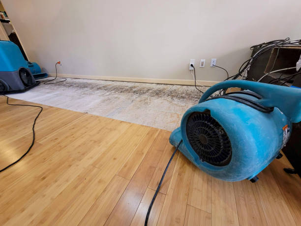 Professional Water Damage Repair technician working in Banning, CA